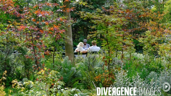 La foret urbaine du parvis de l hotel de ville #02