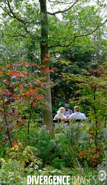 La foret urbaine du parvis de l hotel de ville #02