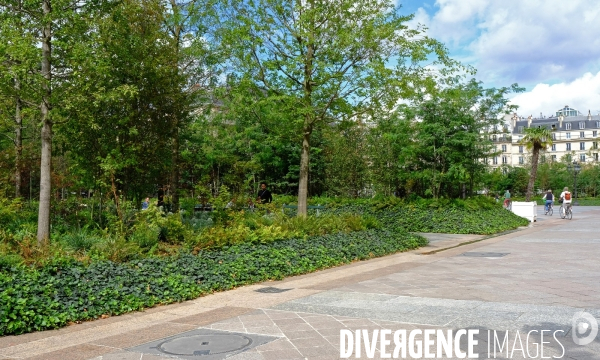 La foret urbaine du parvis de l hotel de ville #02