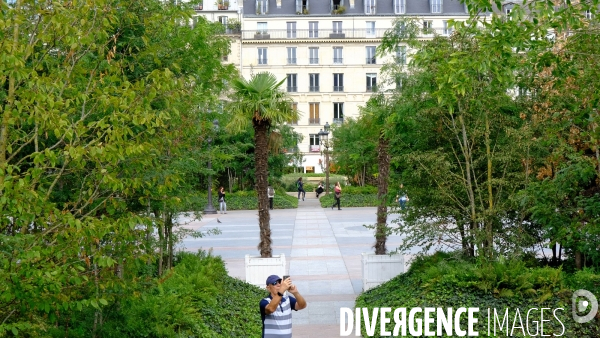 La foret urbaine du parvis de l hotel de ville #02