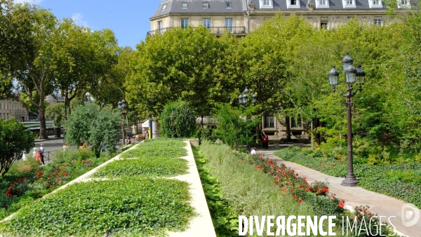 La foret urbaine du parvis de l hotel de ville #02