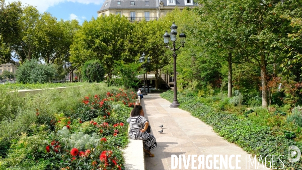 La foret urbaine du parvis de l hotel de ville #02