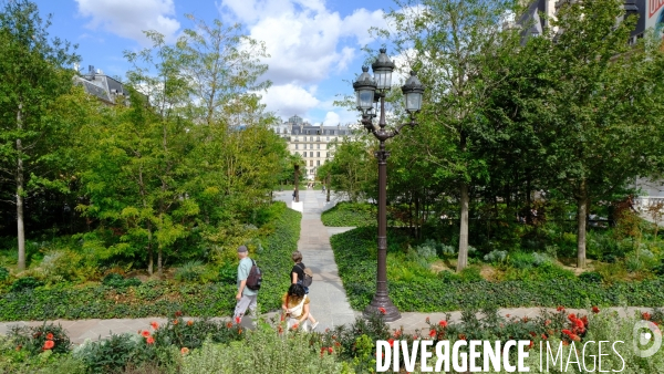 La foret urbaine du parvis de l hotel de ville #02