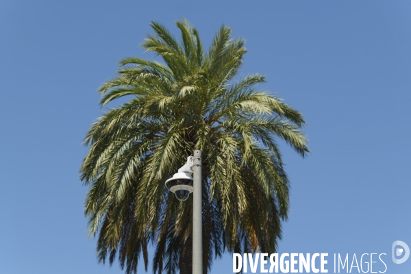 Nice et la vidéo surveillance