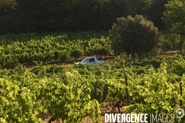 Domaine revelette
