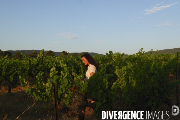 Domaine revelette