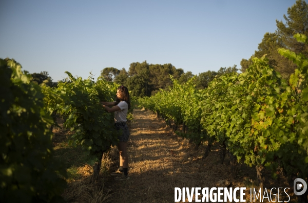 Domaine revelette