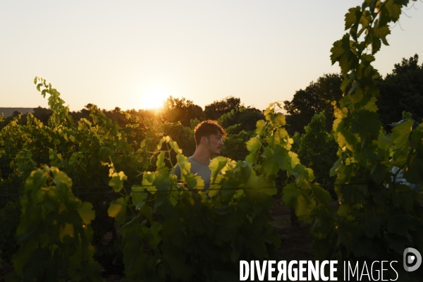 Domaine revelette