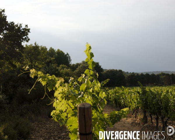 Domaine revelette