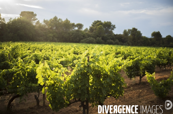 Domaine revelette