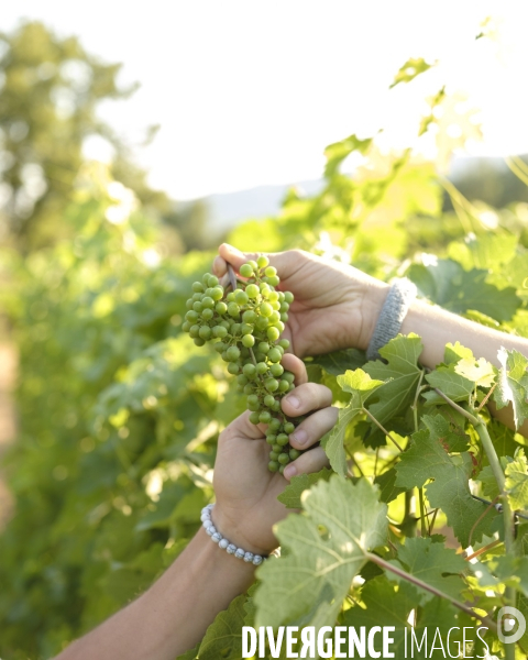 Domaine revelette
