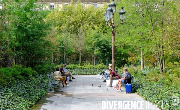 La foret urbaine du parvis de l hotel de ville #02