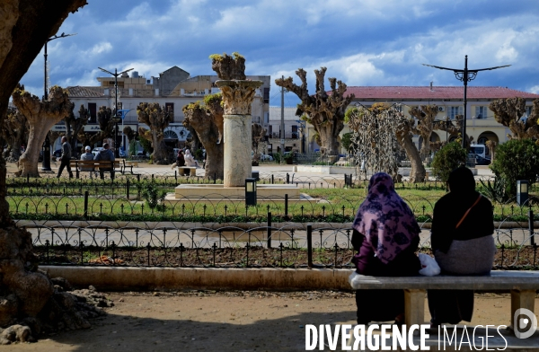 La ville de Cherchell  