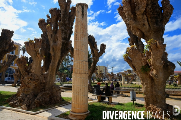 La ville de Cherchell  