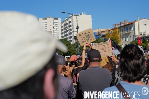 Manifestation mobilisation intersyndicale à Toulouse