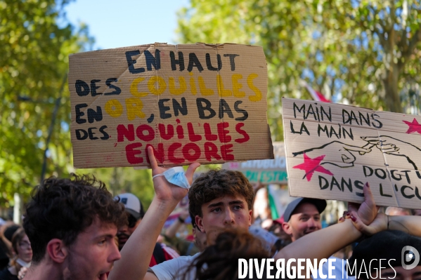 Manifestation mobilisation intersyndicale à Toulouse