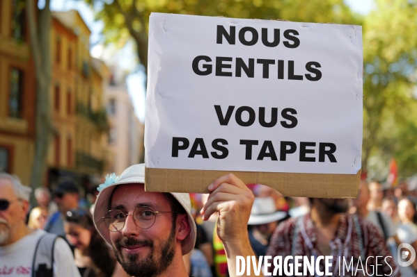 Manifestation mobilisation intersyndicale à Toulouse