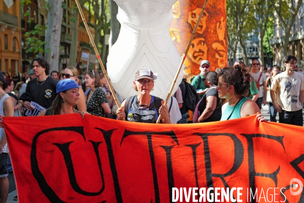 Manifestation mobilisation intersyndicale à Toulouse