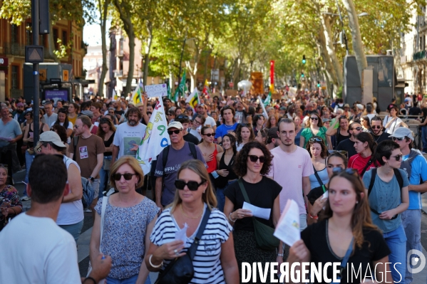 Manifestation mobilisation intersyndicale à Toulouse