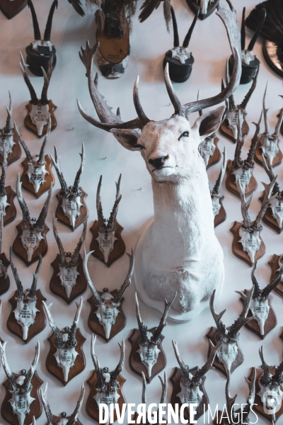 Sigmaringen - Chateau des Hohenzollern