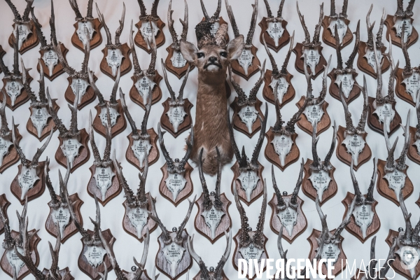 Sigmaringen - Chateau des Hohenzollern