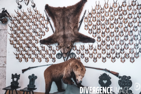 Sigmaringen - Chateau des Hohenzollern