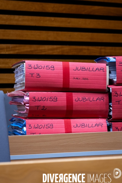 Albi  : proces cedric jubillar