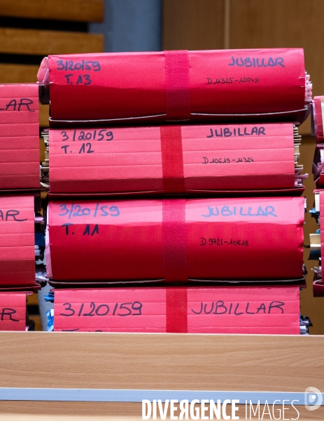 Albi : proces cedric jubillar