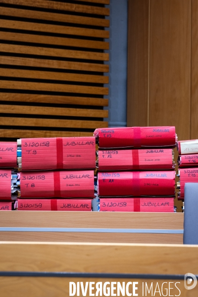 Albi : proces cedric jubillar