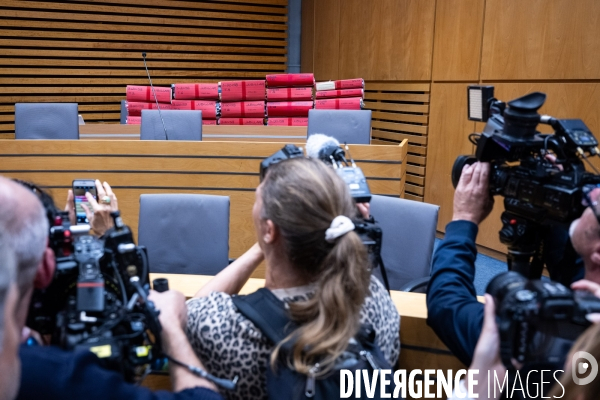 Albi : proces cedric jubillar