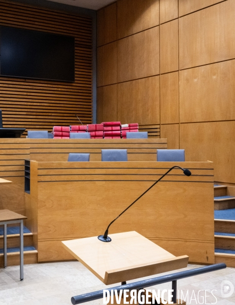 Albi : proces cedric jubillar