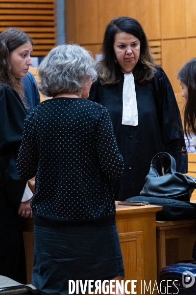 Albi : proces cedric jubillar