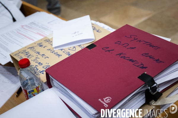 Albi : proces cedric jubillar