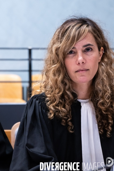 Albi : proces cedric jubillar