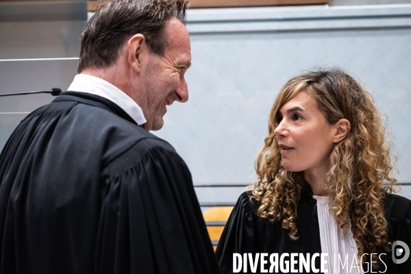 Albi : proces cedric jubillar