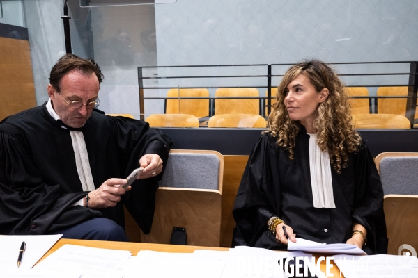 Albi : proces cedric jubillar