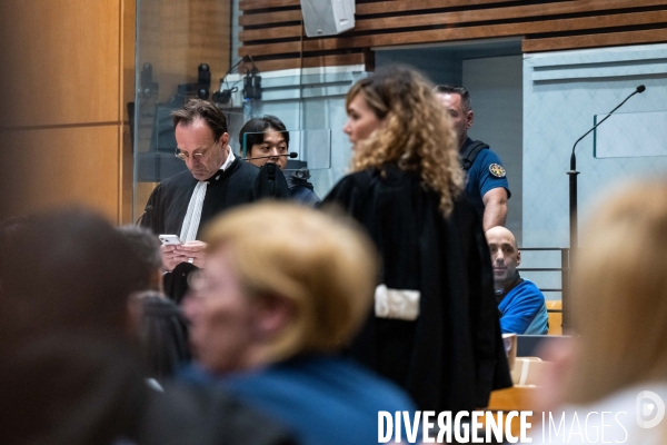 Albi : proces cedric jubillar