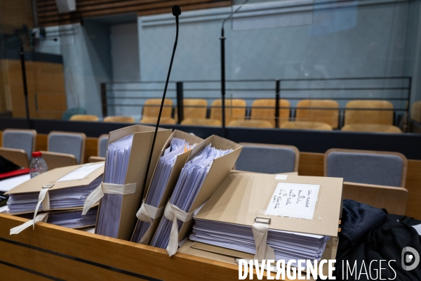 Albi : proces cedric jubillar