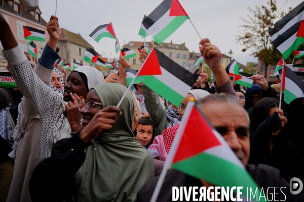 Reconnaissance de la Palestine : Bruno Piriou maire de Corbeil-Essonnes décide de distribuer des drapeaux palestiniens aux habitants