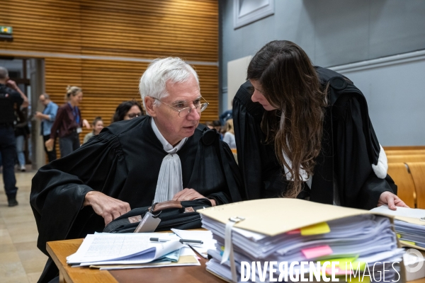 Albi : proces cedric jubillar