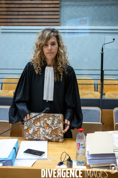 Albi : proces cedric jubillar