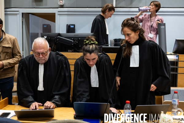 Albi : proces cedric jubillar