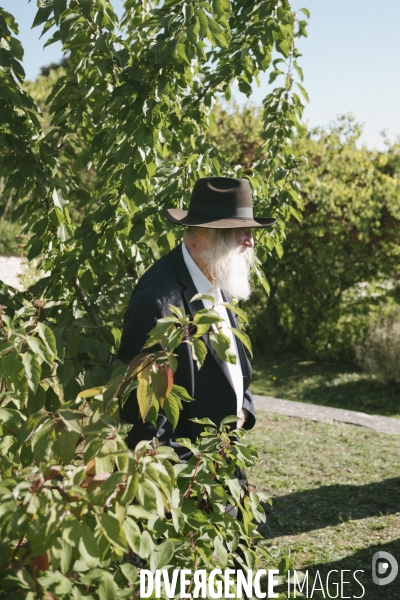 Des oliviers en mémoire d Ilan Halimi