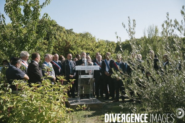 Des oliviers en mémoire d Ilan Halimi