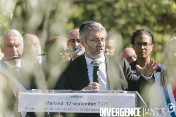 Des oliviers en mémoire d Ilan Halimi