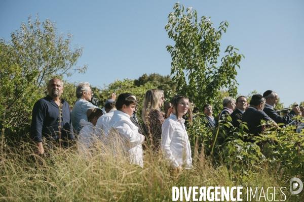 Des oliviers en mémoire d Ilan Halimi