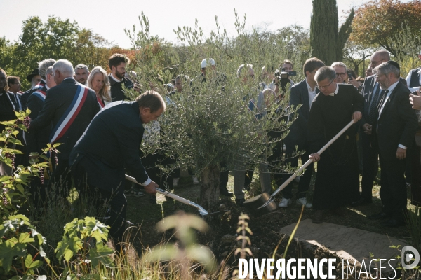 Des oliviers en mémoire d Ilan Halimi