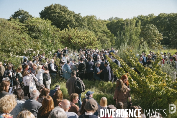 Des oliviers en mémoire d Ilan Halimi