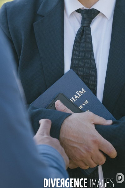 Des oliviers en mémoire d Ilan Halimi