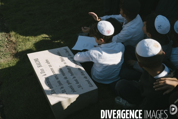 Des oliviers en mémoire d Ilan Halimi